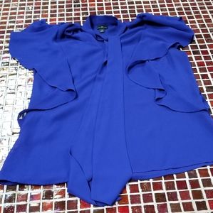 Blue Worthington Blouse